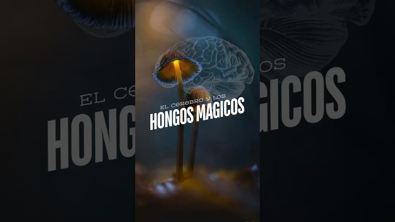 Claudia Zapata Ángel-9