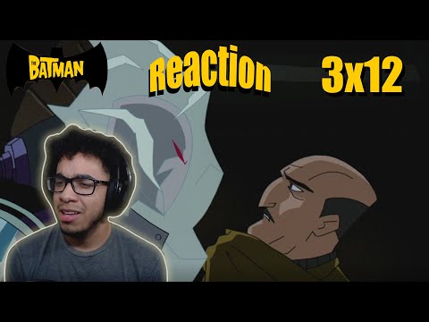 The Batman - 3x12 - Reaction (The Icy Depths)