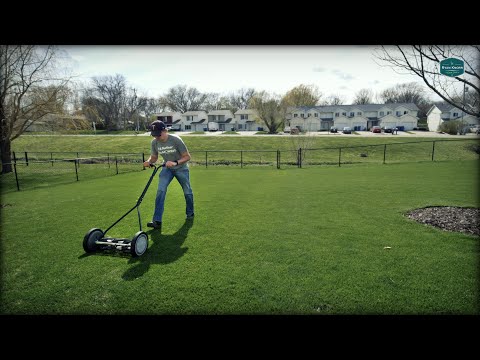 I Bought ANOTHER Reel Mower and Here's WHY...