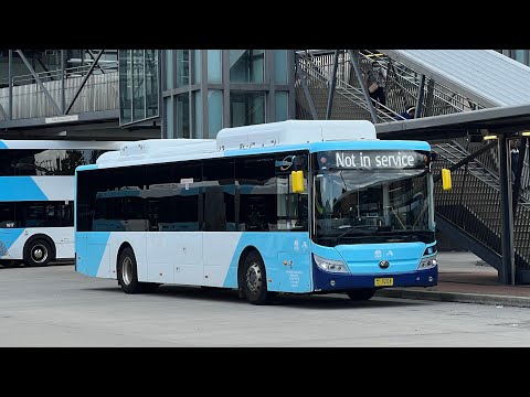 Interline m/o 8204 - Yutong E12 ZK6131HGE at Liverpool Station
