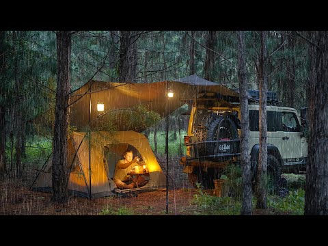 Coziest RAIN CAMPING in a Pine Forest [ SOLO Relaxing in a Tent and Tarp shelter, ASMR ]