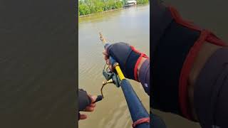 Download lagu I THOUGHT IT WAS A CRAB,,‼️ I DON'T KNOW,, mp3