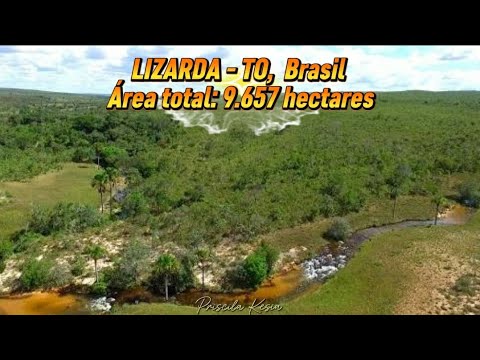 FAZENDA À VENDA – LIZARDA (TO)