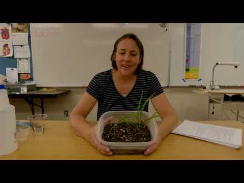 1st Grade Science 9 26 2020