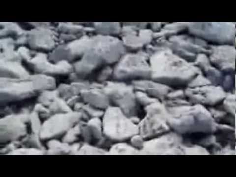 Dengê Ezdixan Teyrê Xerîb -Eliyê Xwarziya