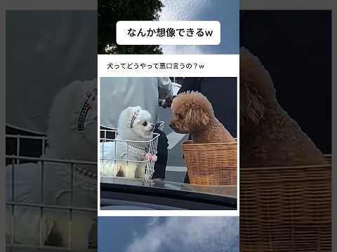 なんか想像できるw