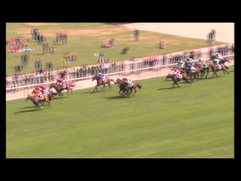 Lope De Vega Stallion Profile