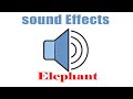 Elephant S Trumpet Sound Effect Non Copyrighted Voices Unique To Animals Shorts