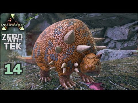 DOMAMOS UM DOEDICURUS, MELHOR FARMADOR DE PEDRA! - ZERO AO TEK - RAGNAROK - EP 14