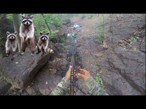 De cacería en el serró con escopeta  410 calleron puros tejones mapaches ⛰️🐗🦌🏜️🌳👍