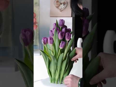 Transparent Rectangular Tall Box Pack 5