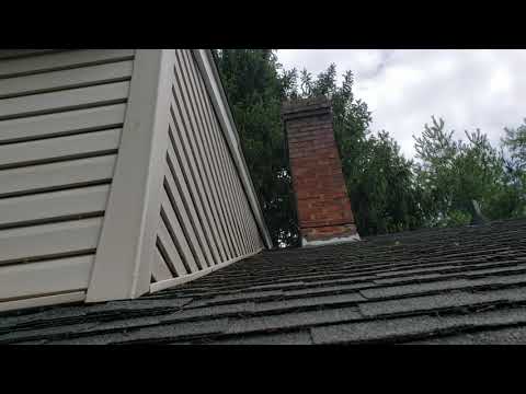 Wasps Nest Under Fascia Board in Wall Township, NJ