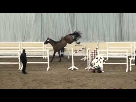 Los Angeles-Abke-Grannus