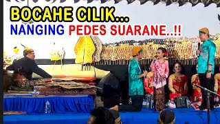 Download lagu Peye full lucu - Percil seneng karo suarane Sinden cilik sing merdu - Jan tambah syahdu di rungokne mp3
