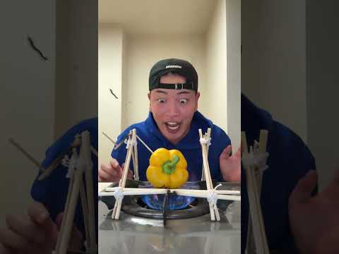 Nonomen funny video😂😂😂 #chipichipichapachapa