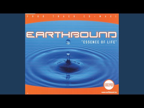 Essence Of Life (Skynet UK 1999 Master 12")