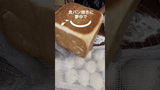 チョコチップスティックパン # パン# #簡単レシピ #3兄弟 # #料理 #家族vlog #レシピ #おうちカフェ #チョコチップ #子育て #家族 #パン大好き#パン作り