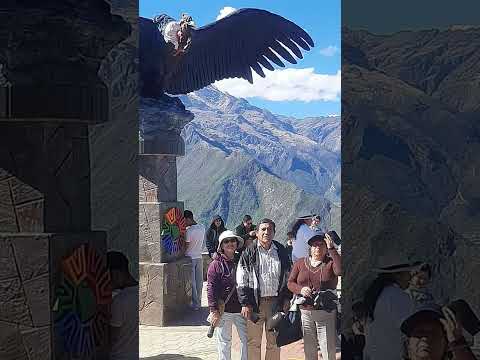 visita a los miradores del cañon del Apurimac Huayhuacalle  e Inkaraccay  Inkawasi Abancay  PERU
