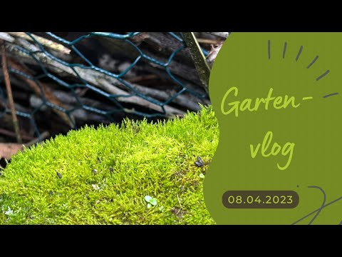 Gartenvlog 08.04.2023