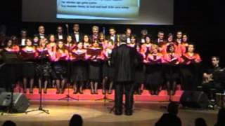 Şu sinemde yarelerim sızılar..mpg