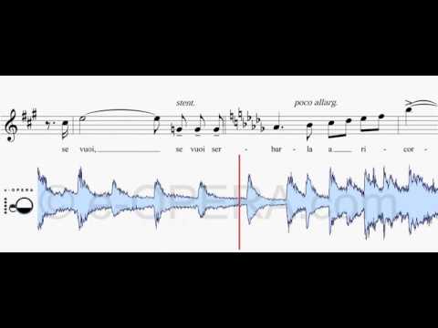 Puccini - LA BOHEME -  Mimì - Donde lieta uscì - COMPLETE SYNCHRONIZED VIDEO PIANO BASE