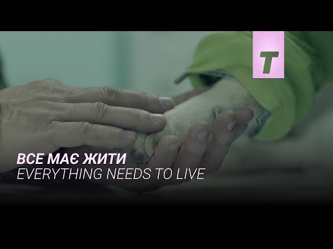Прев'ю відео