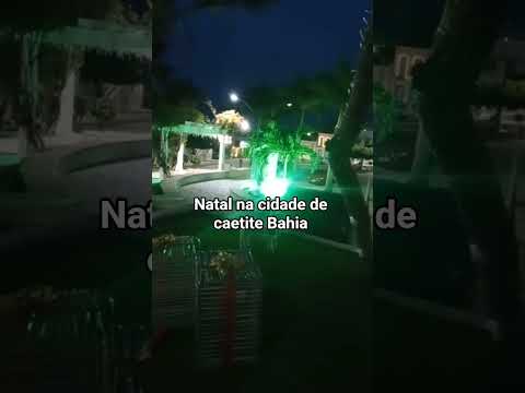 🎄novo tempo caetite Bahia #shorts #sohrtsvedeo #sohrtsvideo #humormeme #londrina