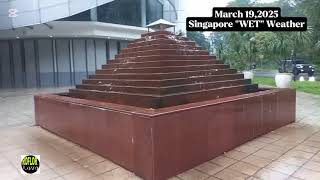 March 19,2025 Singapore Wet Weather 🌧️ ☔ #rainsounds #asmrvideos #updatenews #forecast