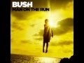 Bush - Surrender W/Lyrics (Man On The Run - New Album)