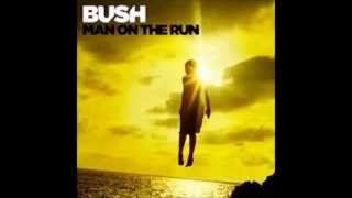 Bush - Surrender W/Lyrics (Man On The Run - New Album)