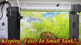 சிறிய தொட்டியில்  Filter போடலாமா ?. Can We Keep Filter In Small Tank Or Bowl?. / Fish Aquarium Tamil