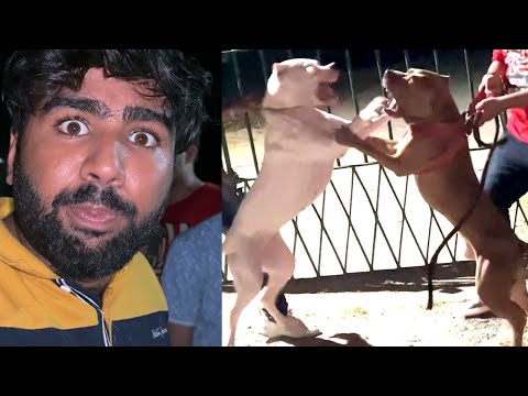 Duke Athina at haunted church 😨