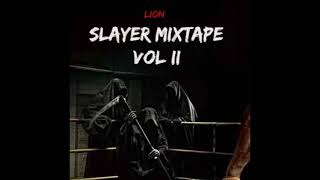 LION - CRONICO RMX (Fabri Fibra)