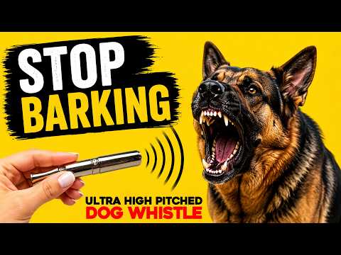 High-Pitched Whistle Sounds for Dogs to Help Stop Barking 🐶🔊