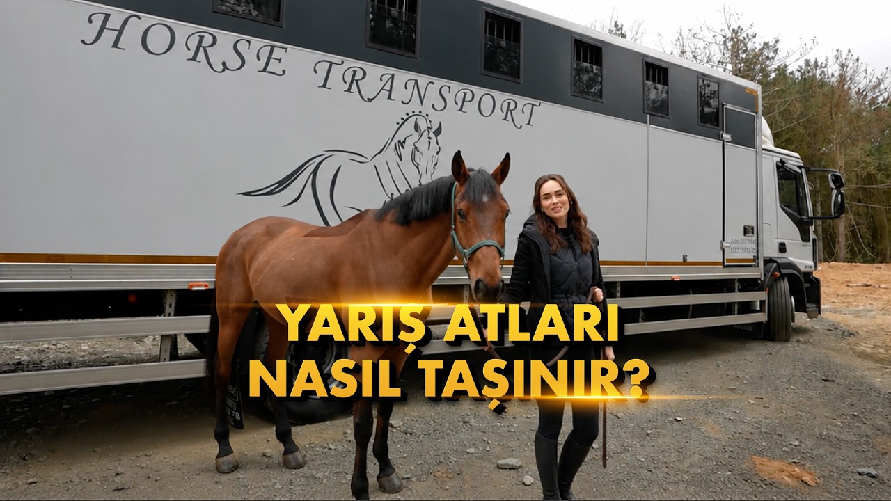 Atlar Yarışa Nasıl Gidiyor? | Damla ile Kulvar Dışı
