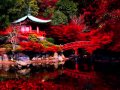 SUKIYAKI - (Kyu Sakamoto / Original Japanese Version with Lyrics)