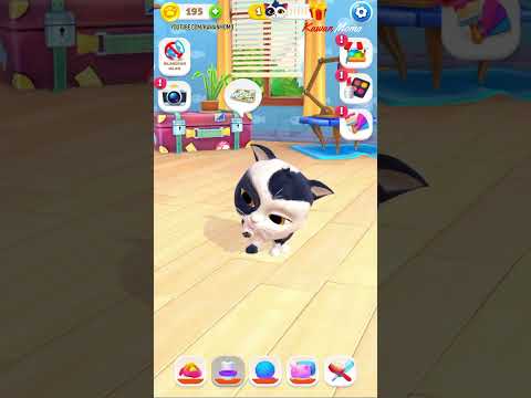 Video cover