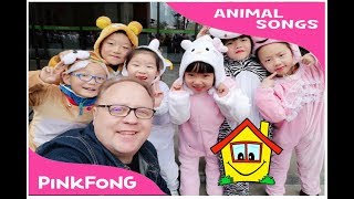 My Pet My Buddy - Animal Song and Actions with 1000 Students - by PinkFong