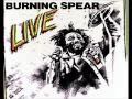 Burning Spear-Don`t Kill The Lion(Album.Live)(1977)