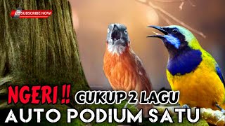 Download lagu NGERI‼️ Cukup 2 lagu auto podium🔥 masteran cucak cungkok dan tepus kepala abu cocok buat murai batu mp3