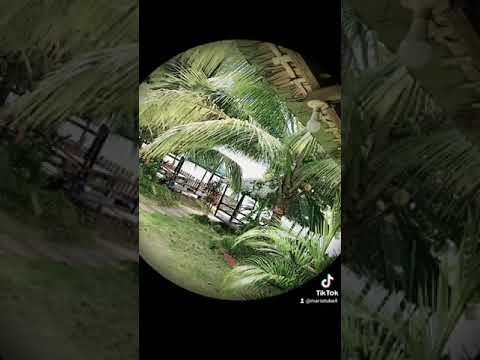 Tuba Beach In Tanza Iloilo