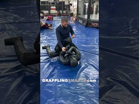 SMARTY XL Guard Passing by Coach Firas Zahabi!