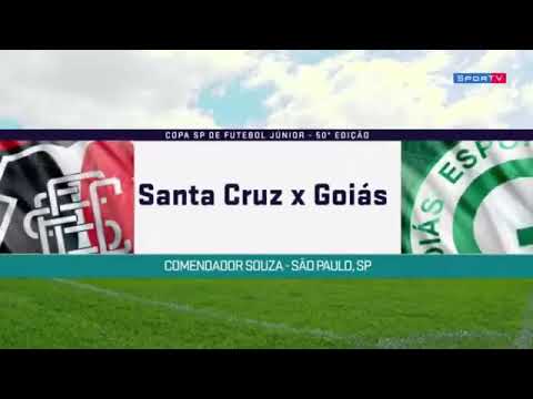 Santa Cruz 0x2 Goiás - Gols & Melhores Momentos Copa SP 2019