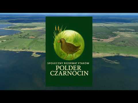 Woda, konie i ptaki - raj przyrodniczy na północy Polski