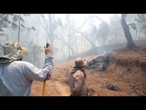 Terrenos estériles por los incendios en Coyuca de Catalán, sierra de Guerrero