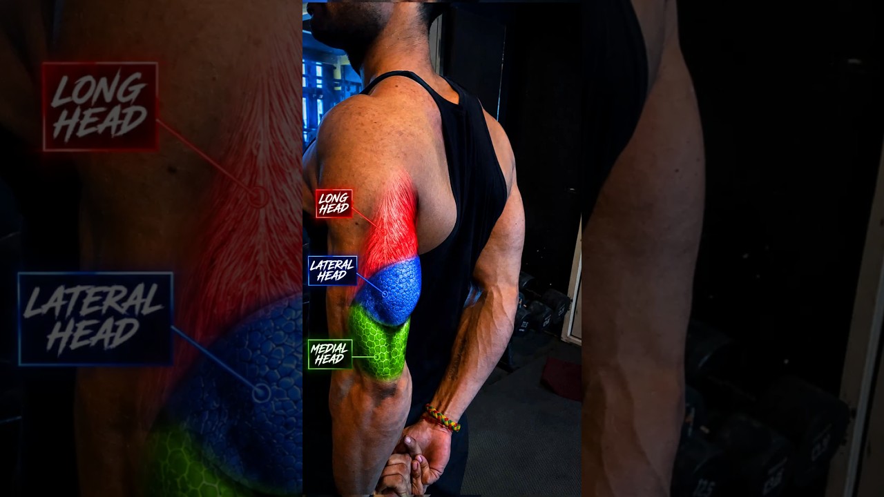 ONLY TRICEP EXERCIES YOU NEED