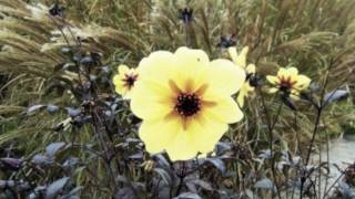 Stiltskin - Prayer Before Birth