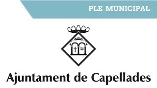 Ple Municipal Capellades 02/07/2020