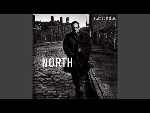 Still - Elvis Costello
