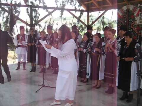 01 Festivalul Cununa Spicului de Grau - Craiesti Mures - MVI 4361